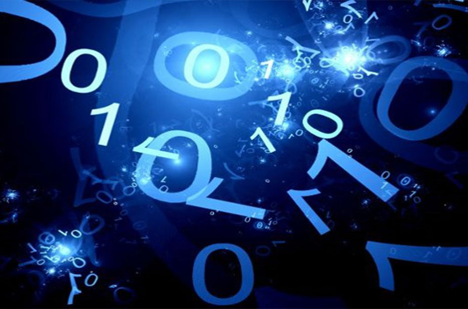 Trading Partner Support / EDI